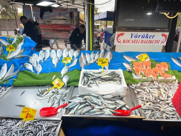 İzmit Perşembe Pazarı’nda Balık Fiyatları!