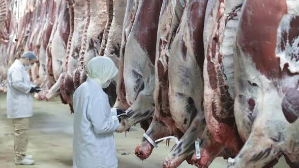 8 İlde Kırmızı Et Operasyonu: 30 Gözaltı!