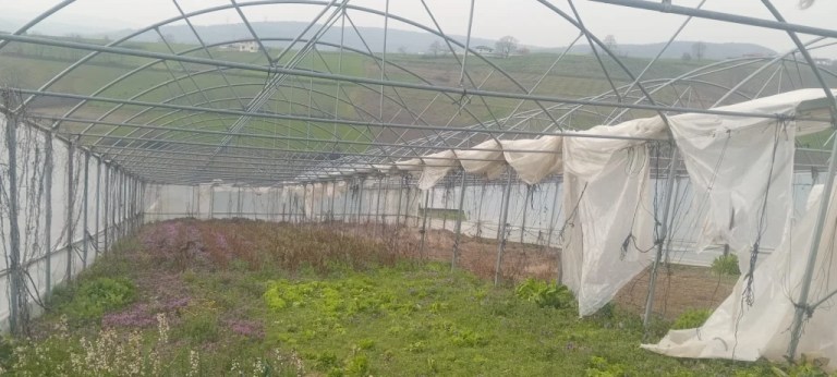 Seraları zarar gören çiftçiye Büyükşehir desteği