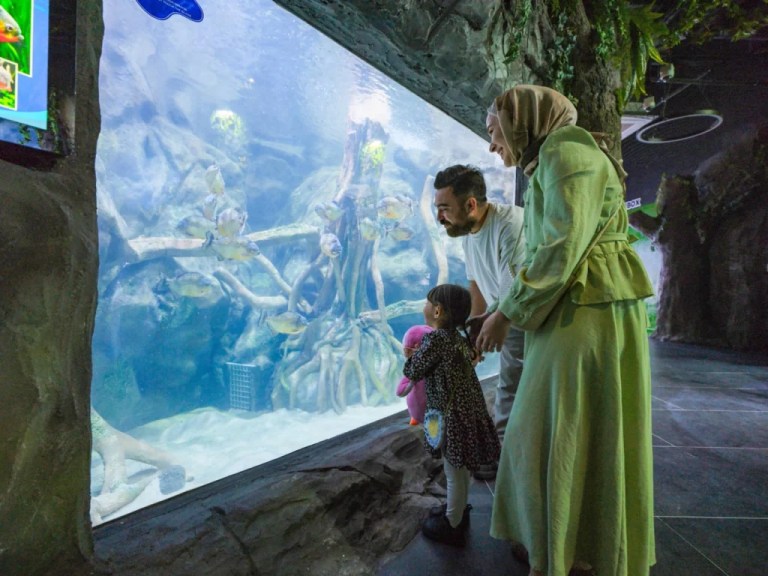 Körfez Aqua’dan ilk 2 gün ücretsiz ziyaret müjdesi!